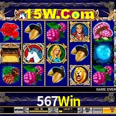 Sistemas de Segurança 567Win