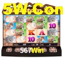 567Win App Interface